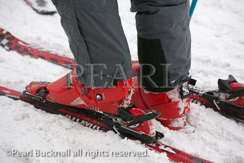 Close up view of red Salomon ski boots and bindings 
on a pair of skis. 