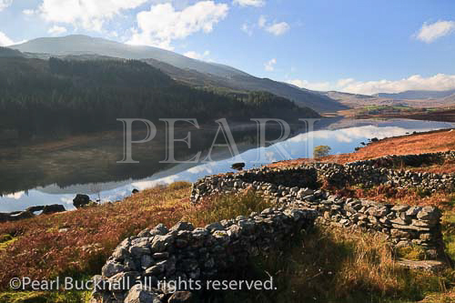 Sheep folds by Llynnau Mymbyr with Moel Siabod
beyond in Snowdonia National Park in autumn. Capel
Curig, Conwy, North Wales, UK, Britain