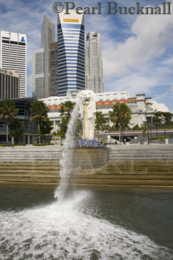 The Merlion statue trademark symbol of Singapore on 
waterfront by Fullerton Hotel with modern buildings of 
Central Business District. Marina Bay Singapore
