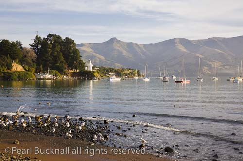 View to lighthouse across French Bay in picturesque 
historic seaside resort town on Banks Peninsula. 
Akaroa South Island New Zealand. 

