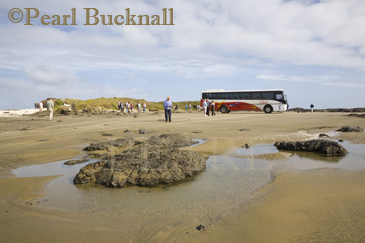Ninety Mile Beach with rocks pool wet sand tourists 
and parked coach at The Bluff on Tasman sea coast. 
Aupori Peninsula Northland North Island New Zealand 

