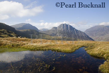 Tryfan east face with pool of water in Snowdonia 
National Park. Ogwen Conwy North Wales UK Britain

Keywords: welsh landscape british mountains europe 
scenic