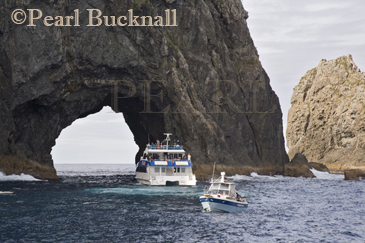 Tourist cruise boat approaching Hole in the Rock in
Piercy island Bay of Islands Northland North Island
New Zealand