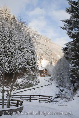 Rauris, Austria, Europe. View along mountain road to 
Gaisbachtal in alpine valley lined with fir trees 
following heavy snowfall in winter

Keywords: alps, country, snow, scene,