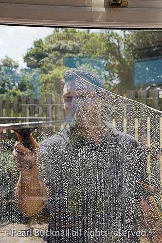 Window cleaner man cleaning outside windows 
wiping soap suds with squeegee seen through glass 
from inside. UK, Britain