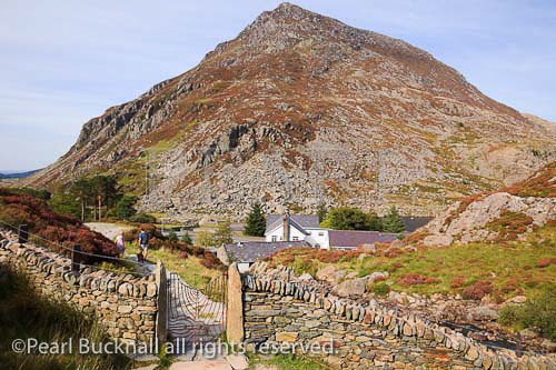 Ogwen Valley, Gwynedd, North Wales, UK, Europe. 
Footpath from Cwm Idwal with Ogwen Cottage 
Outdoor Pursuits Centre and Pen Yr Ole Wen beyond in 
Snowdonia National Park

Welsh mountains path country walks Britain British 
landscape