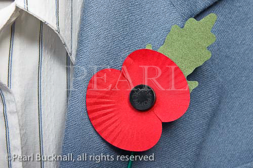 Red British Legion poppy on a blue jacket lapel. 
England UK Britain