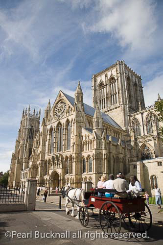 Tourists sightseeing horse and carriage by 13th 
century medieval Gothic York Minster South Transept 
in Minster Yard in city centre. York Yorkshire England 
UK Britain Europe