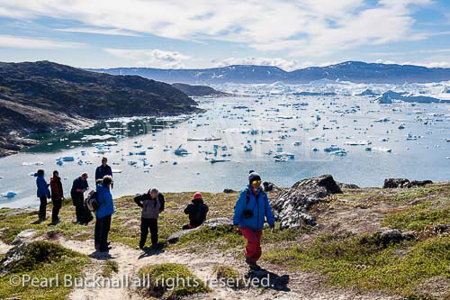 Hikers on blue trail by Ilulissat Icefjord with large 
icebergs in fjord from most productive glacier in 
northern hemisphere. A UNESCO World Heritage 
site. Ilulissat )Jakobshavn), Qaasuitsup, Greenland