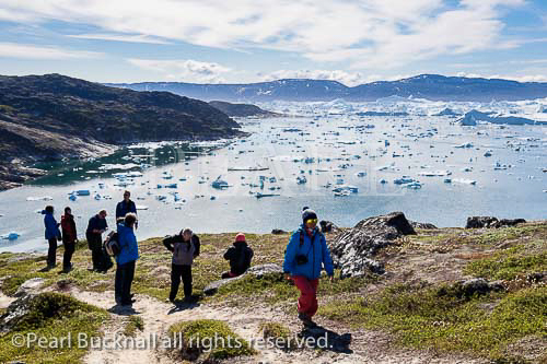 Hikers on blue trail by Ilulissat Icefjord with large 
icebergs in fjord from most productive glacier in 
northern hemisphere. A UNESCO World Heritage 
site. Ilulissat )Jakobshavn), Qaasuitsup, Greenland