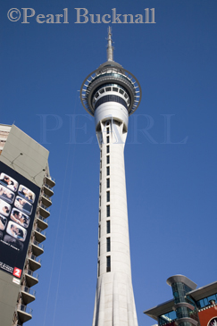 Sky Tower skyscraper buildings in city centre against 
blue sky Auckland North Island New Zealand 

