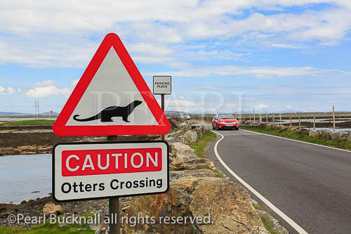 Caution Otters Crossing red triangle road sign by the 
causeway from Benbecula to North Uist, Outer 
Hebrides, Western Isles, Scotland, UK, Britain, Europe