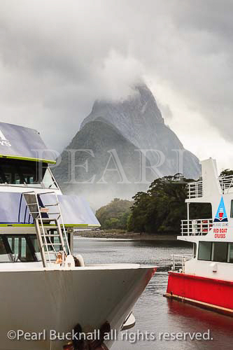 Tourists's cruise boats for tours of Milford Sound, 
Fiordland National Park, Southland, South Island, New 
Zealand,