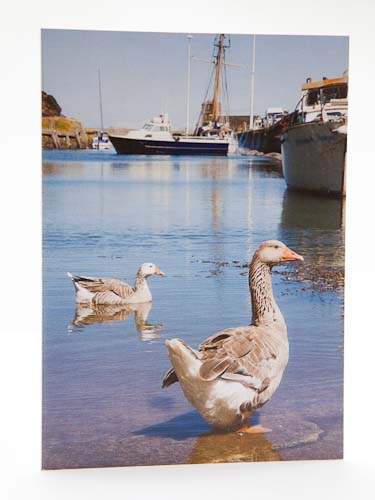 Amlwch Port, Isle of Anglesey (Ynys Mon), North Wales, 
UK