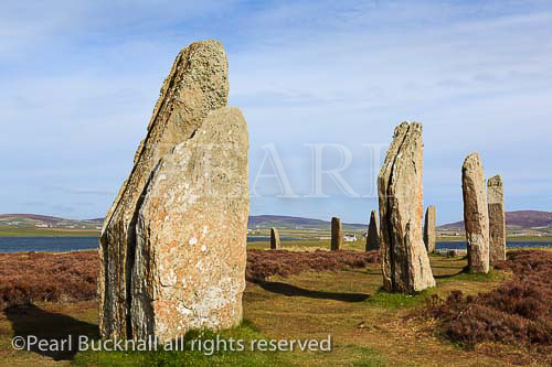 Ring of Brodgar Neolithic henge and stone circle of 
standing stones is largest in Orkneys and is a UNESCO 
world heritage site. Stenness, Orkney Mainland, 
Scotland, UK, Great Britain, Europe. 
