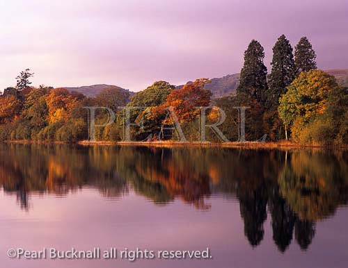 Autumn colours reflected in Coniston Water in early 
morning sunlight in the Lake District National Park. 
Cumbria, England, UK, Europe. 

tranquil scene scenic landscape