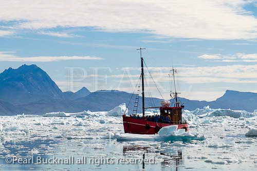 Tourists on traditional fishing boat visiting the icefjord 
with icebergs from Qooroq ice fjord in Tunulliarfik Fjord. 
Narsarsuaq, Kujalleq, Southern Greenland