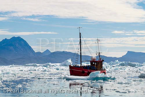 Tourists on traditional fishing boat visiting the icefjord 
with icebergs from Qooroq ice fjord in Tunulliarfik Fjord. 
Narsarsuaq, Kujalleq, Southern Greenland