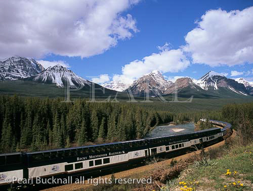 ROCKY MOUNTAINEER RAILTOURS TRAIN at Morant's 
Curve beside the Bow River between Banff & Lake 
Louise in Banff National Park. Lake Louise, Alberta, 
Canada, North America
