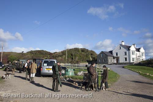 Llanlliana