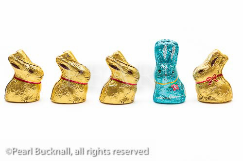 Four gold foil wrapped chocolate Easter bunnies 
looking at one blue Easter bunny on a plain white 
background. Odd one out concept