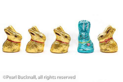Four gold foil wrapped chocolate Easter bunnies 
looking at one blue Easter bunny on a plain white 
background. Odd one out concept