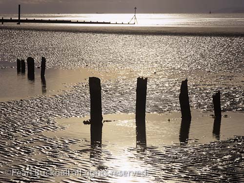 West Wittering West Sussex England UK. Backlit 
wooden groins in silhouette on empty wet sandy 
beach at low tide in winter

Keywords: Britain coast scene landscape tide tidal pool 
nobody