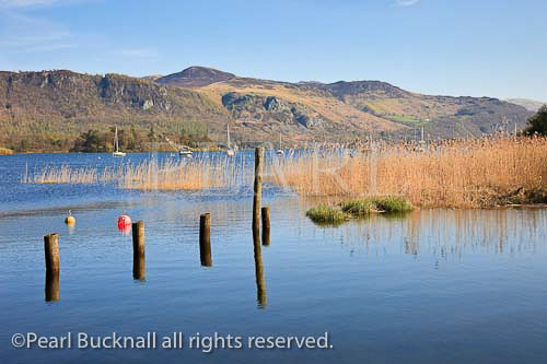 View east across Derwent Water in the Lake District 
National Park. Keswick, Cumbria, England, UK, Britain. 

english british scenic landscape