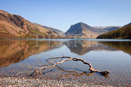 Scenic view to Fleetwith Pike reflected in Buttermere 
Lake in the Lake District National Park. Cumbria, 
England, UK, Europe. 

english scenic landscape britain british