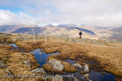 Upland pool on Carnedd Moel Siabod with view to
distant mountains in Snowdonia National Park. Capel
Curig, Conwy, North Wales, UK, Britain.