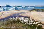 Greenland