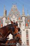 Horses with blinkers in front of the Gothic Provincial 
Court in the historic square. Markt, Bruges, Belgium, 
Europe. 