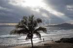 Palm tree silhouetted against a dark sky with 
sunbursting through cloud on the coast in Puerto del 
Carmen, Lanzarote, Canary Islands, Spain, Europe.