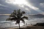 Palm tree silhouetted against a dark sky with 
sunbursting through cloud on the coast in Puerto del 
Carmen, Lanzarote, Canary Islands, Spain, Europe.