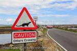 Caution Otters Crossing red triangle road sign by the 
causeway from Benbecula to North Uist, Outer 
Hebrides, Western Isles, Scotland, UK, Britain, Europe
