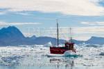 Tourists on traditional fishing boat visiting the icefjord 
with icebergs from Qooroq ice fjord in Tunulliarfik Fjord. 
Narsarsuaq, Kujalleq, Southern Greenland