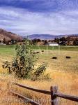 FARMLAND in late summer in beautiful Methow Valley 
on the North Cascades Scenic Highway. Carlton, 
Washington, USA, North America