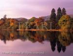 Autumn colours reflected in Coniston Water in early 
morning sunlight in the Lake District National Park. 
Cumbria, England, UK, Europe. 

tranquil scene scenic landscape