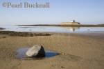 Historic 12th century Llangwyfan church on small tidal 
island across water at Porth Cwyfan Aberffraw 
Anglesey North Wales UK

Keywords: beach coast CADW landscape landmark 
nobody sea water