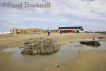 Ninety Mile Beach with rocks pool wet sand tourists 
and parked coach at The Bluff on Tasman sea coast. 
Aupori Peninsula Northland North Island New Zealand 

