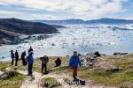 Hikers on blue trail by Ilulissat Icefjord with large 
icebergs in fjord from most productive glacier in 
northern hemisphere. A UNESCO World Heritage 
site. Ilulissat )Jakobshavn), Qaasuitsup, Greenland