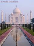 17th century Taj Mahal mausoleum in early morning 
light with reflection in water pool Agra Uttar Pradesh 
India Asia

Keywords: building historic reflection 
sightseeing tourism travel water
