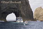 Tourist cruise boat approaching Hole in the Rock in 
Piercy island Bay of Islands Northland North Island 
New Zealand 

