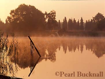 MIST on FRENSHAM LITTLE POND at DAWN, Frensham, 
Surrey, England, UK, Britain

Keywords: calm lake tranquil scene water morning