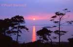 SUNSET OVER THE SOUND OF ARISAIG. Roshven, 
Highland, Scotland, UK

Keywords: water reflection sunset silhouette tree coast 
sea scenic
