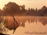 MIST on FRENSHAM LITTLE POND at DAWN, Frensham, 
Surrey, England, UK, Britain

Keywords: calm lake tranquil scene water morning