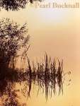 MARGINAL PLANTS in water on a misty morning at 
dawn.  Frensham Little Pond, Surrey, England UK

Keywords: dawn lake nature scenic sunrise water misty 
morning mood yellow
